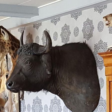 Chalet Sur Lesse Hotel Maissin Esterno foto