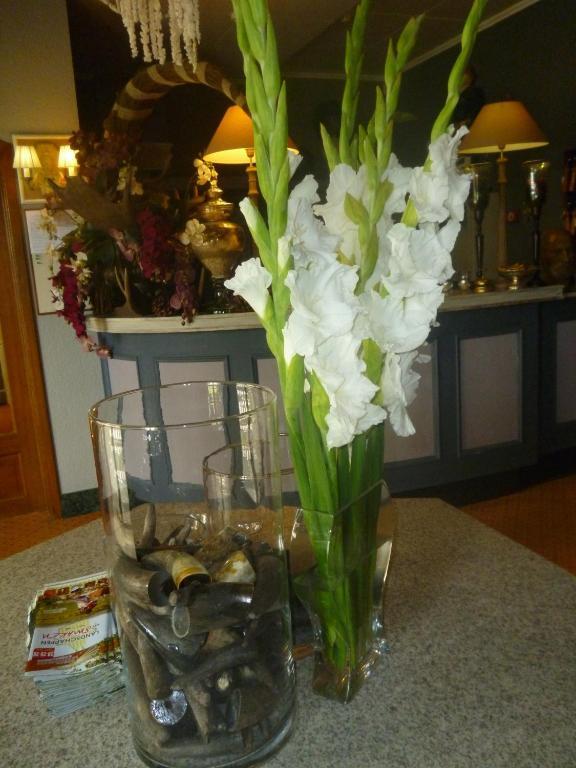 Chalet Sur Lesse Hotel Maissin Esterno foto